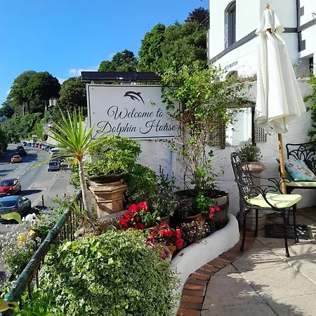 Dolphin Looe